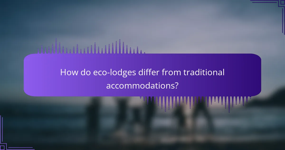 How do eco-lodges differ from traditional accommodations?
