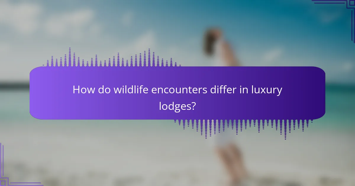 How do wildlife encounters differ in luxury lodges?