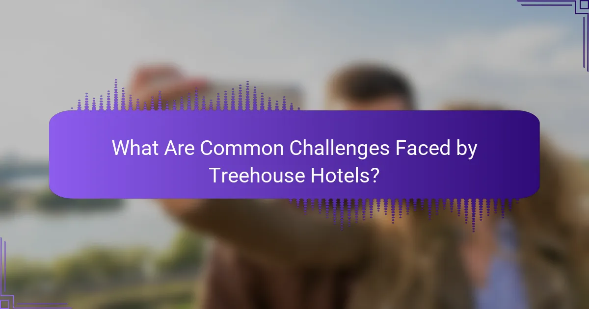 What Are Common Challenges Faced by Treehouse Hotels?