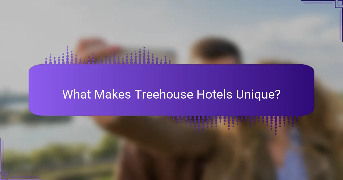 What Makes Treehouse Hotels Unique?
