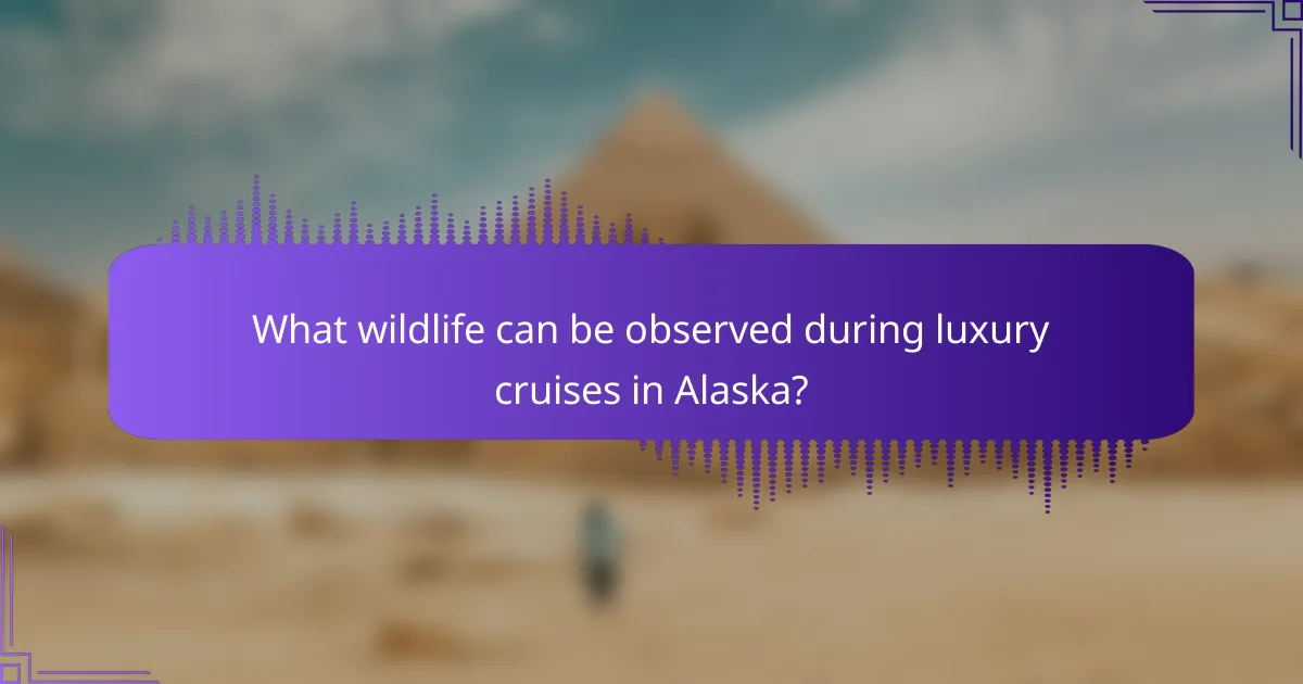 What wildlife can be observed during luxury cruises in Alaska?