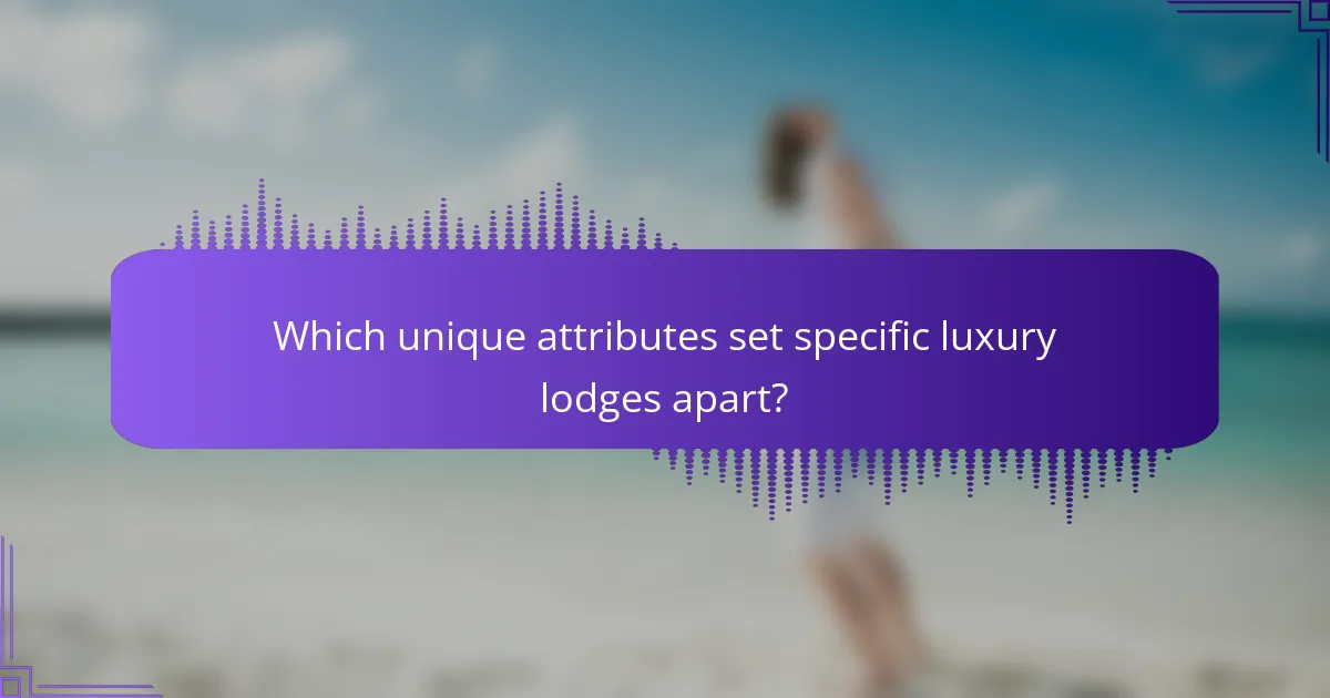 Which unique attributes set specific luxury lodges apart?